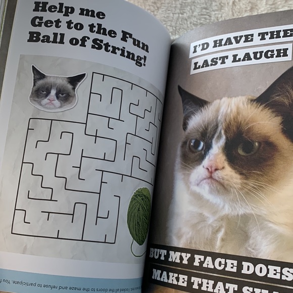 Grumpy cat Hardcover โ a grumpy book โ tips & activity book - Picture 4 of 5